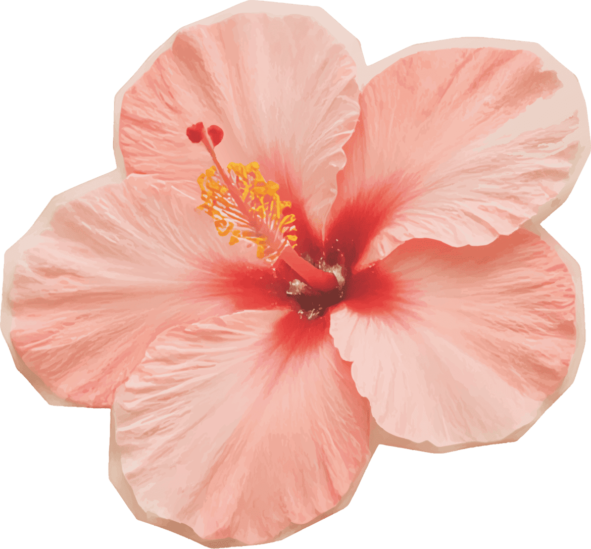 orquidea