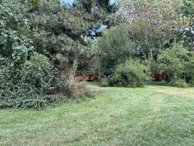 IMG-0406