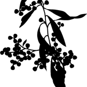 pattern 27