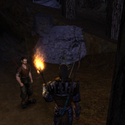 Walkthrough 22