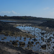 DSCF8672