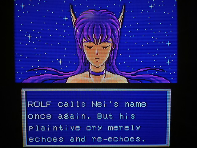 nei4.jpg