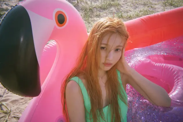 joy red velvet 1384292.webp