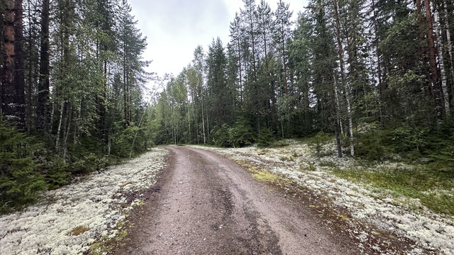 IMG 4862.jpg