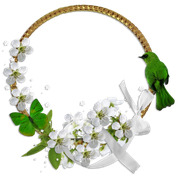 cluster-frame-181