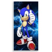 31001571-Sonic