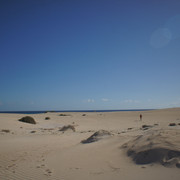 DSC01204