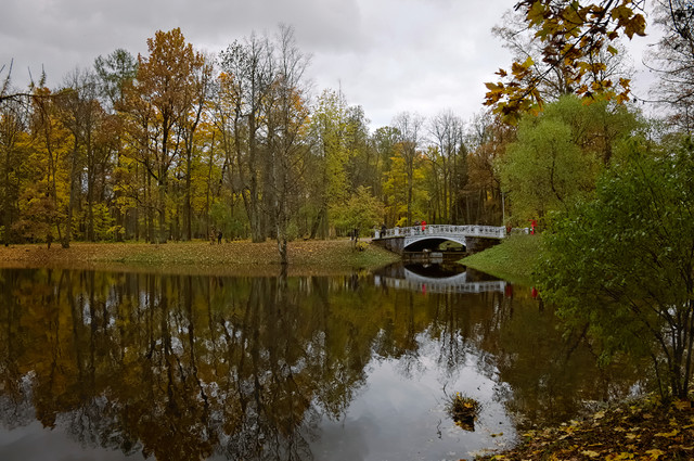 DSCF1778.jpg