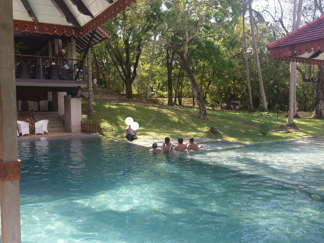 IMAG0414-2.jpg