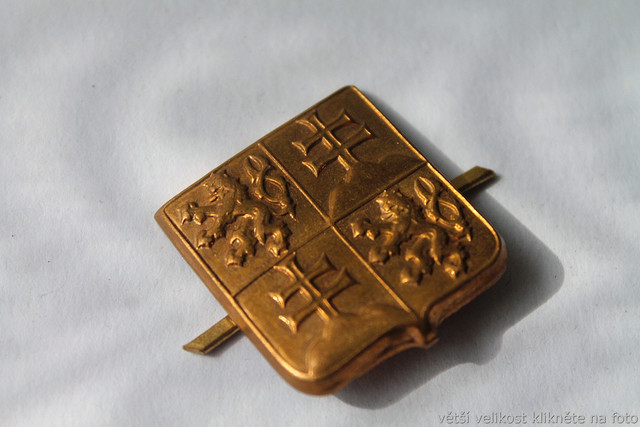 IMG-6808