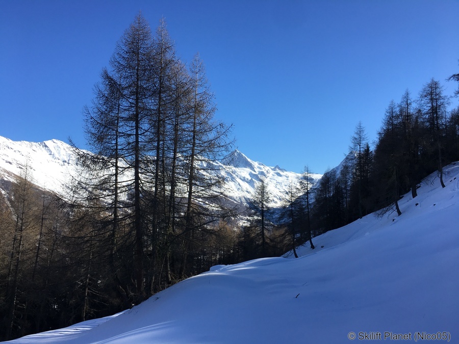 IMG-8069.jpg