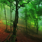 wallpaperbetter-com-1920x1080erer