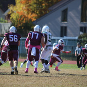 IMG-8311