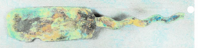 squiggly-buttplate