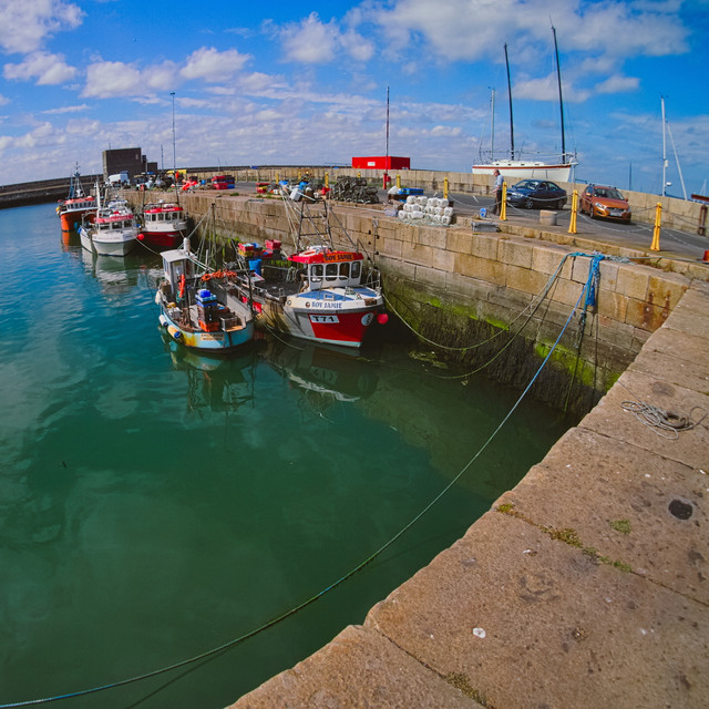 P1010890-2.jpg