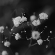 IMG-0098