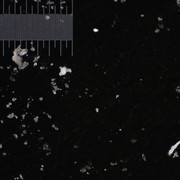 DSC06340