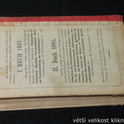 IMG-4248