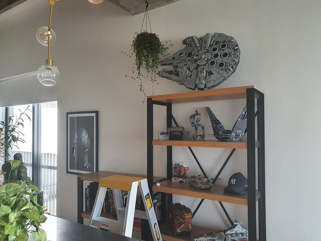 falcon-shelf