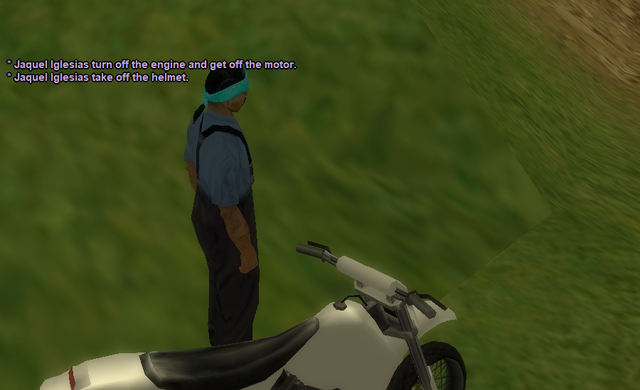 SSRoleplay.png