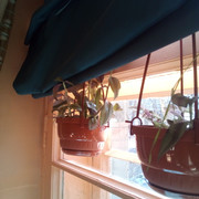 IMG-20220401-090035