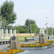 DSC5491