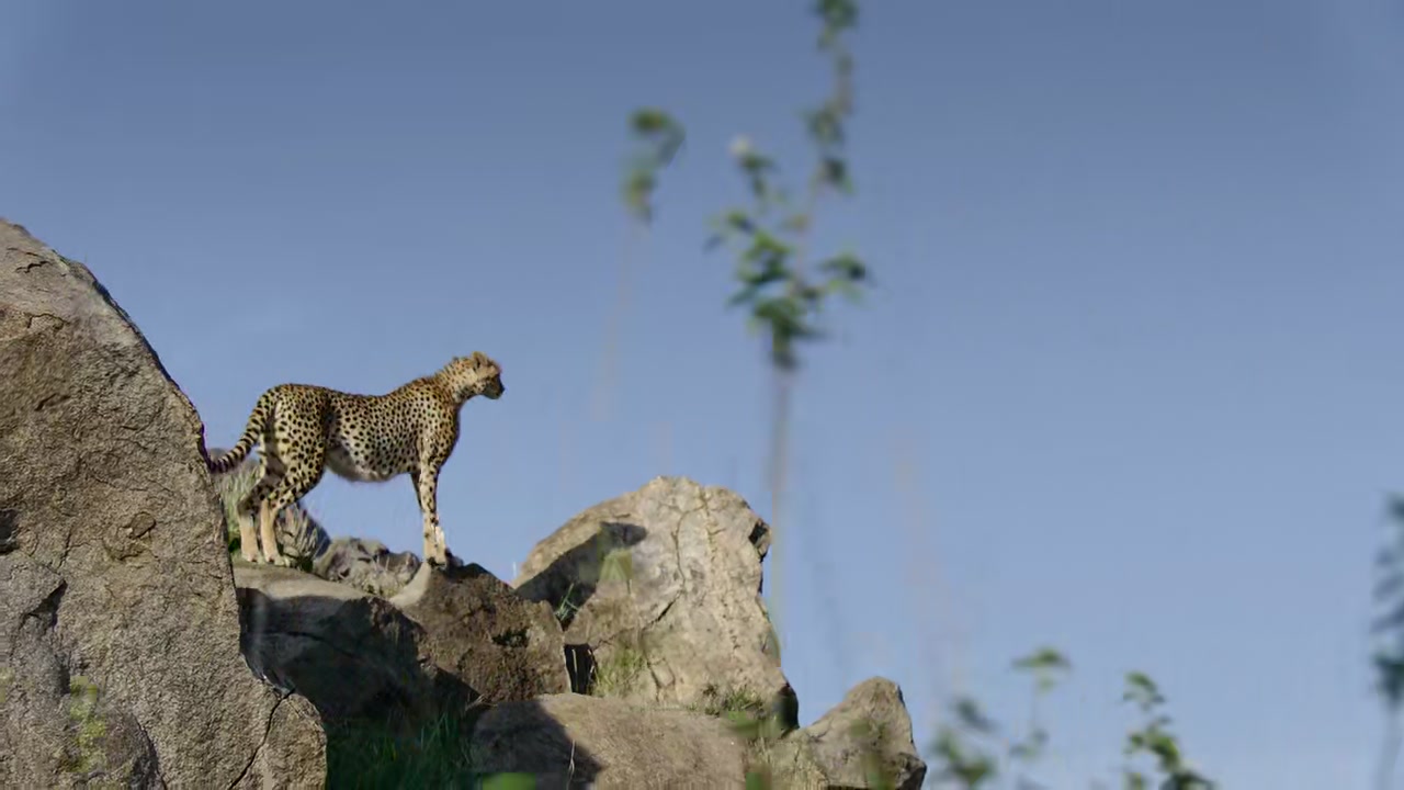 Predators Screenshot