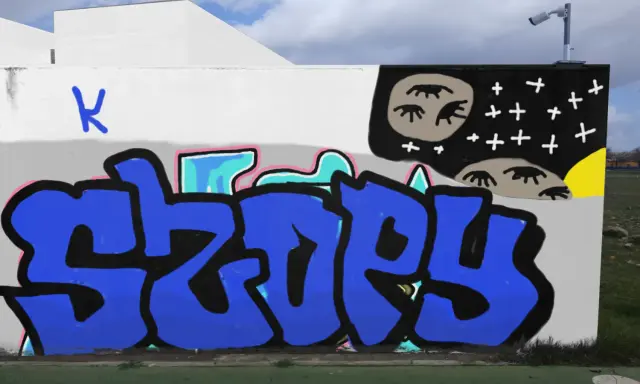 Graffiti artwork by vandald