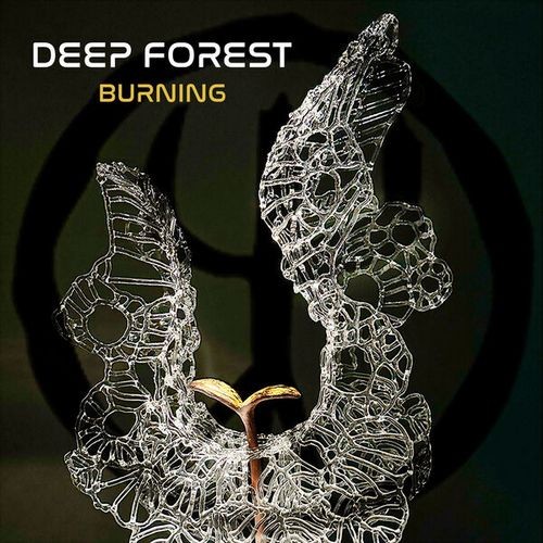 Deep Forest - Burning (2023) [FLAC]