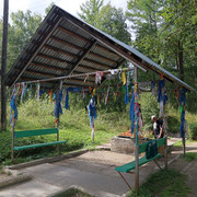 IMG 0241