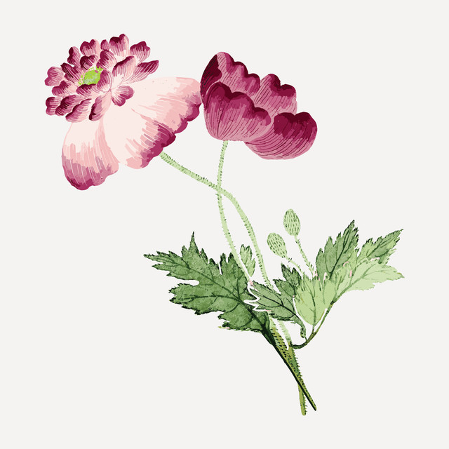 shutterstock 2575793545.jpg