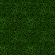 d-Yx-QCwzthl2i