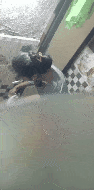 GIF-230129-091102.gif