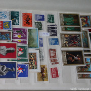 IMG-2558