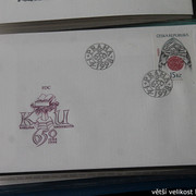 IMG-2598