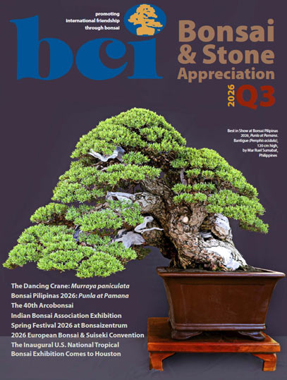 BCI Bonsai & Stone Appreciation Magazine - Q3 2026