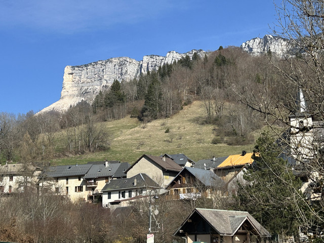 IMG-3550