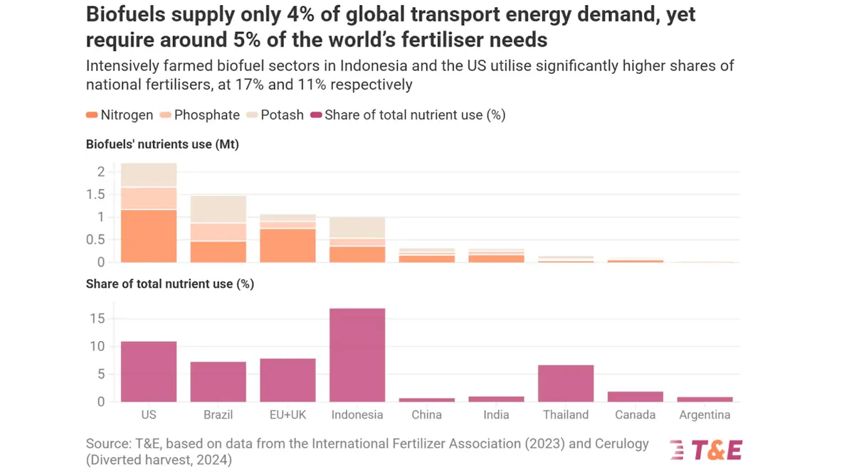 Biofuel Demand to Surge 70% Amid Rising Food Prices