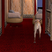 zzg-Ch24-P2.png