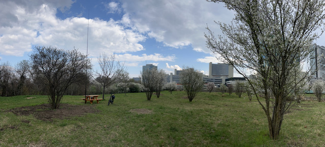 IMG-8722.jpg