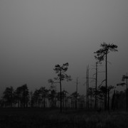DSC05709