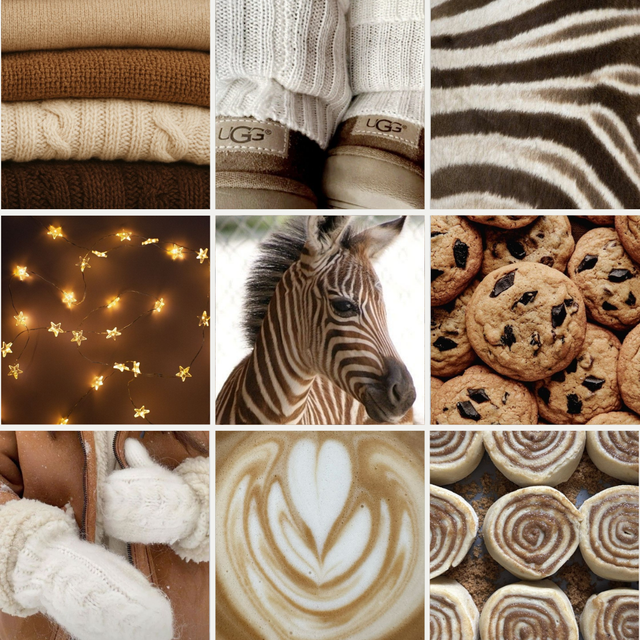 Neutral Photo Collage November Mood Board Instagram Post