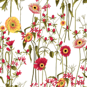 0e95a863738e640fc9f96d96110c252f