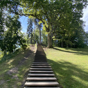 IMG-1438