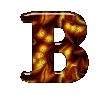 B1.gif