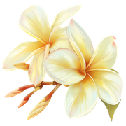 b562f468fa84fc3cd35b17dd30cb72d3