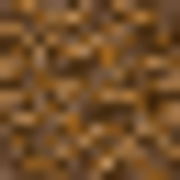 conif forest floor