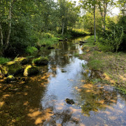 IMG-2652