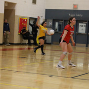 IMG-0311