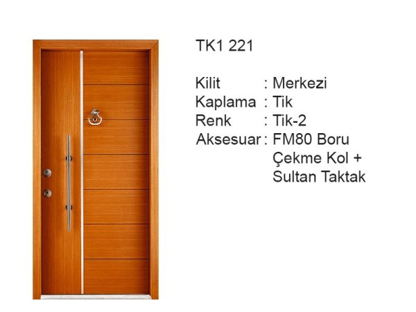 Steel door TK1 221